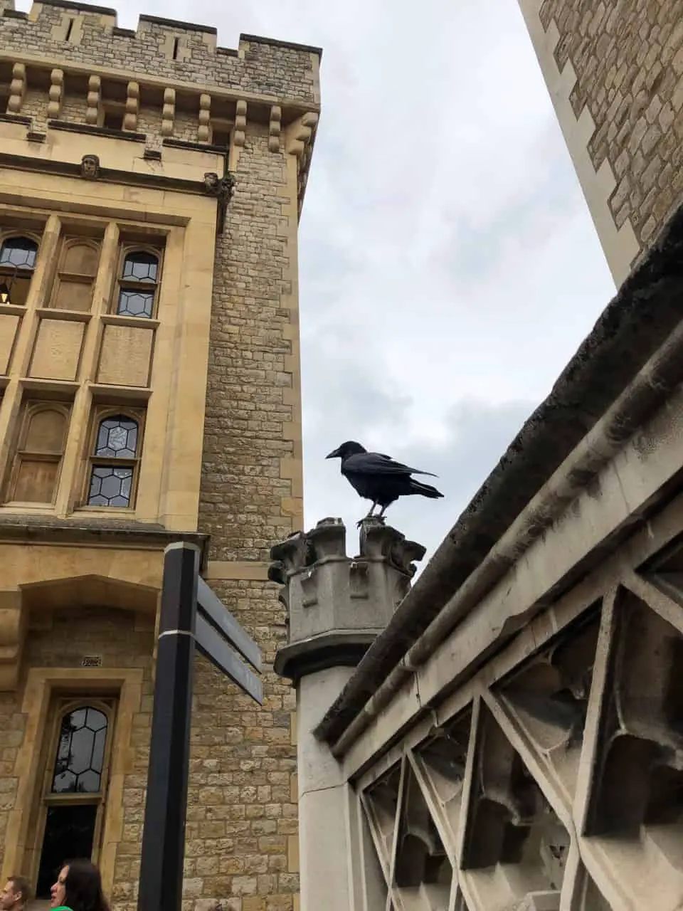 Raven at The Tour of London