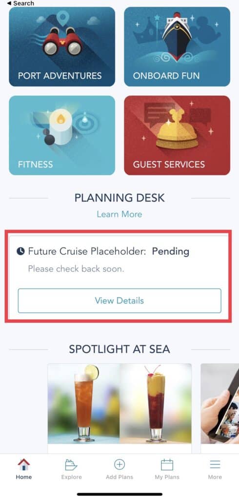Future Disney Cruise Pending Placeholder