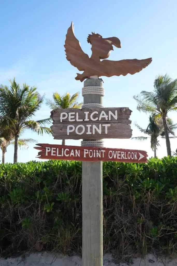 Castaway Cay Pelican Point
